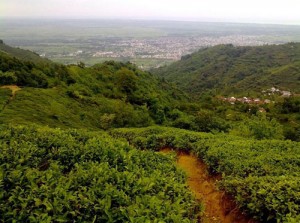 منطقه ییلاقی لیلاکوه
